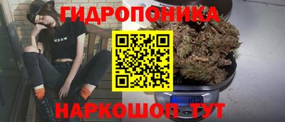 spice Рязань