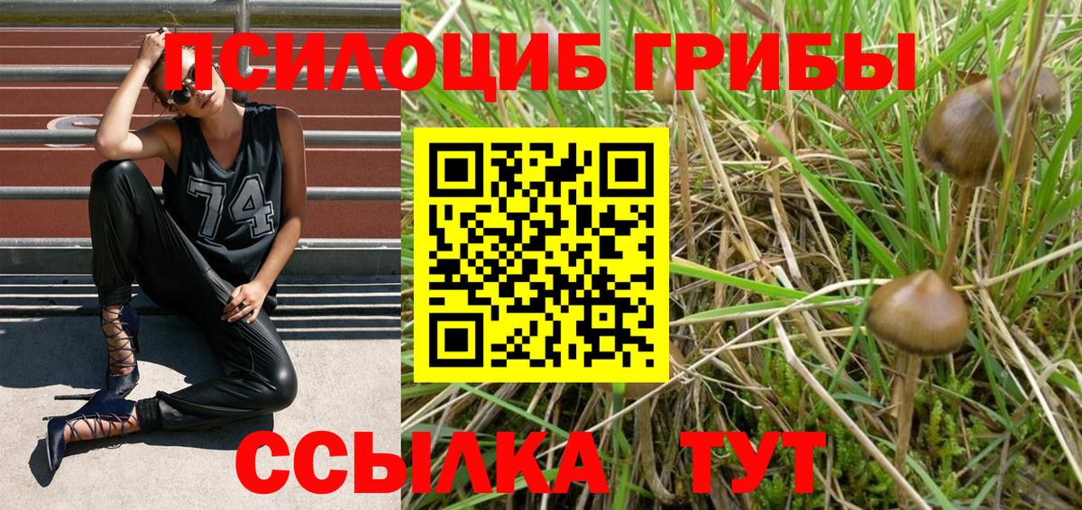 Галлюциногенные грибы Cubensis  хочу   Россия  Вход с VPN 