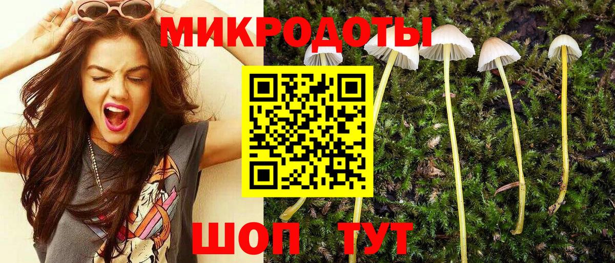 Псилоцибиновые грибы мицелий Россия